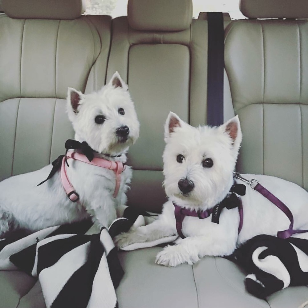 Meet your Posher, Christy